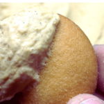 Vanilla wafer dipped in pumpkin fluff