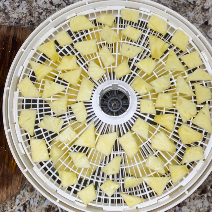 Completed cut up pieces of pineapple on a dehydrator tray ready to be dehydrated.