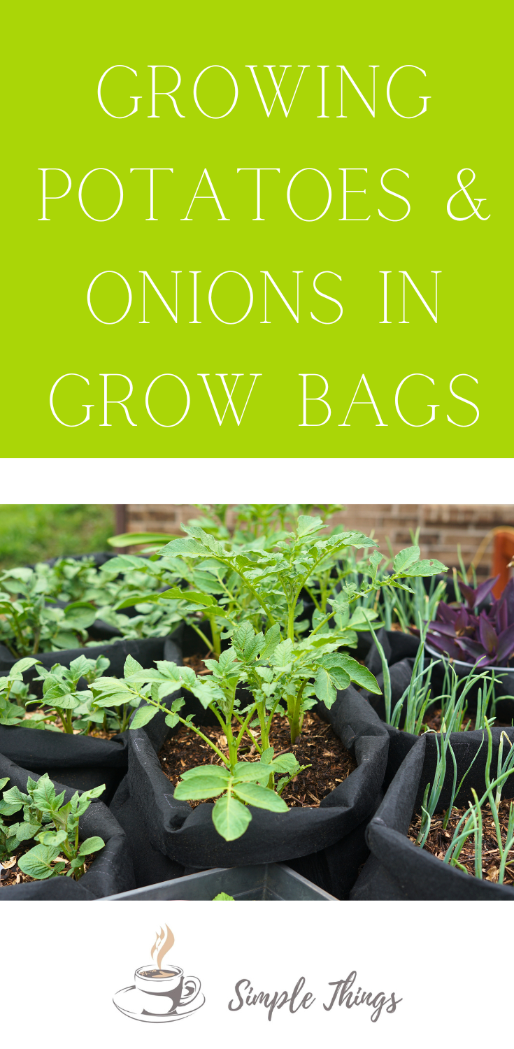 Growing potatoes & onions in grow bags (Part 2) Its The Simple Things
